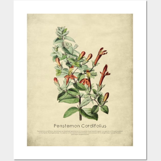 Penstemon Cordifolius With Details Wall Art by ptMaker